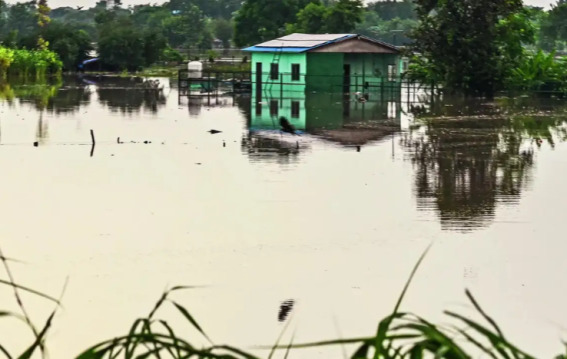 Noida's Luxury Farmhouses